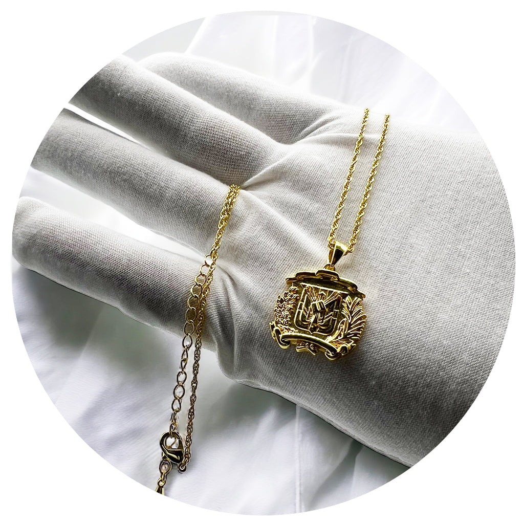 Escudo Brass Necklace